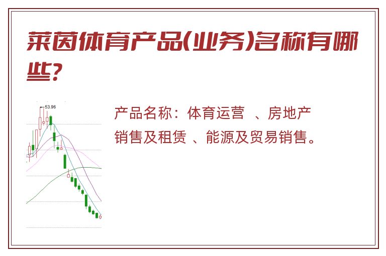 莱茵体育产品（业务）名称有哪些？