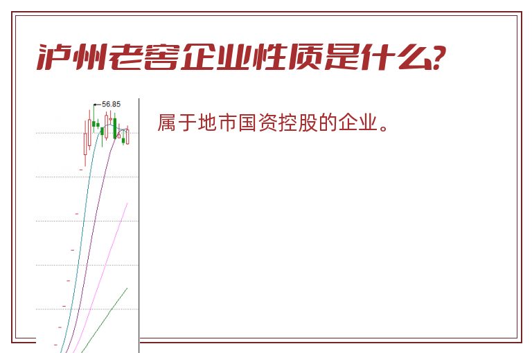 泸州老窖企业性质是什么？