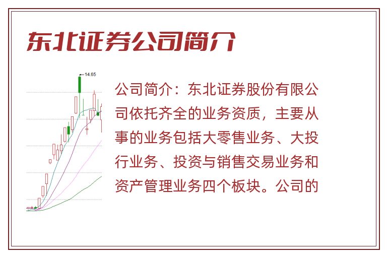 东北证券公司简介