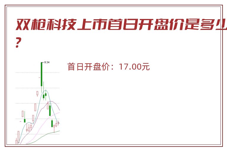 双枪科技上市首日开盘价是多少？