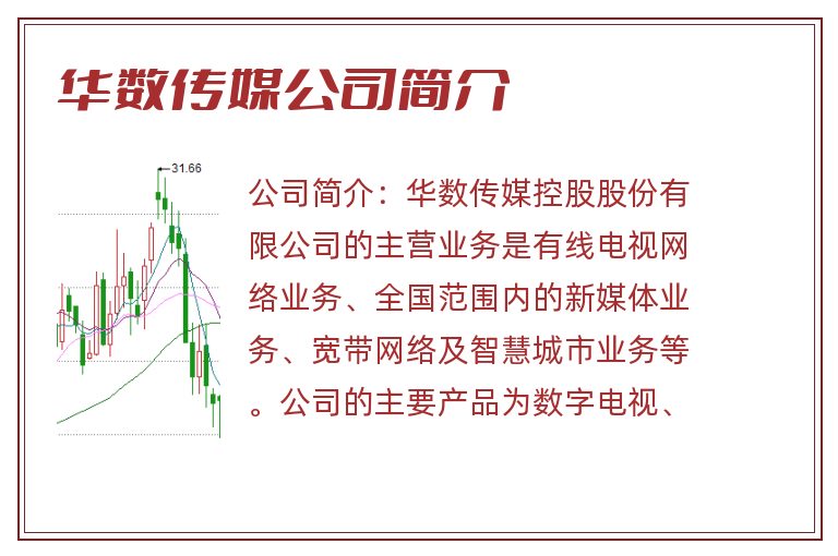 华数传媒公司简介