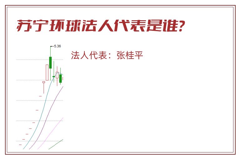 苏宁环球法人代表是谁?.jpg 苏宁环球.jpg