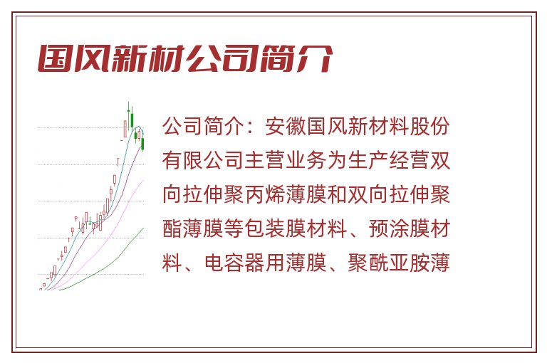国风新材公司简介