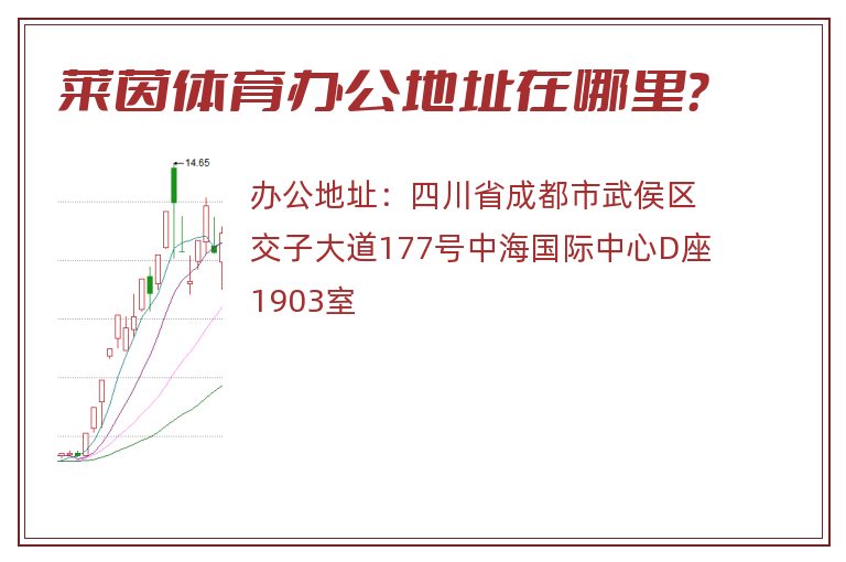 莱茵体育办公地址在哪里？