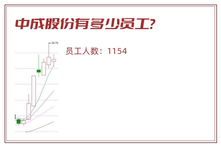 中成股份有多少员工?.jpg 中成股份.jpg