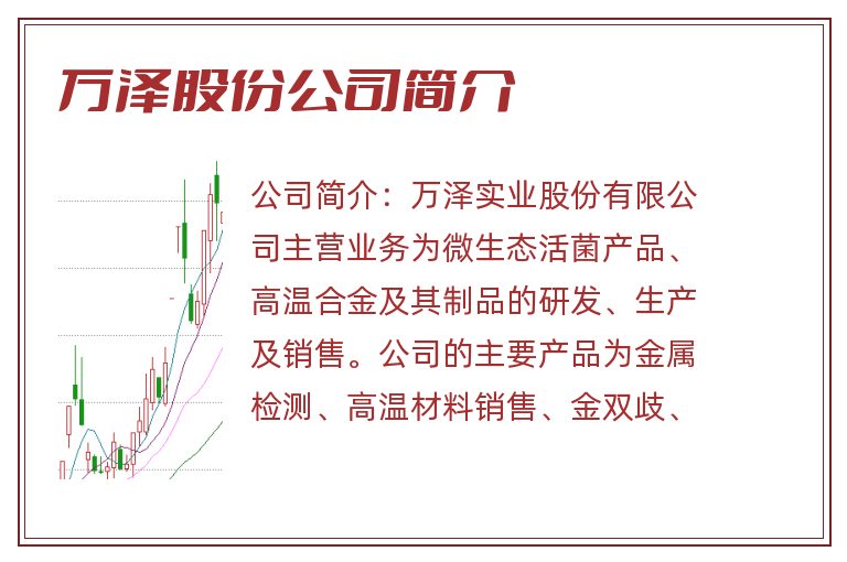 万泽股份公司简介