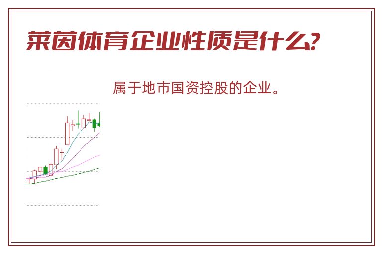 莱茵体育企业性质是什么？