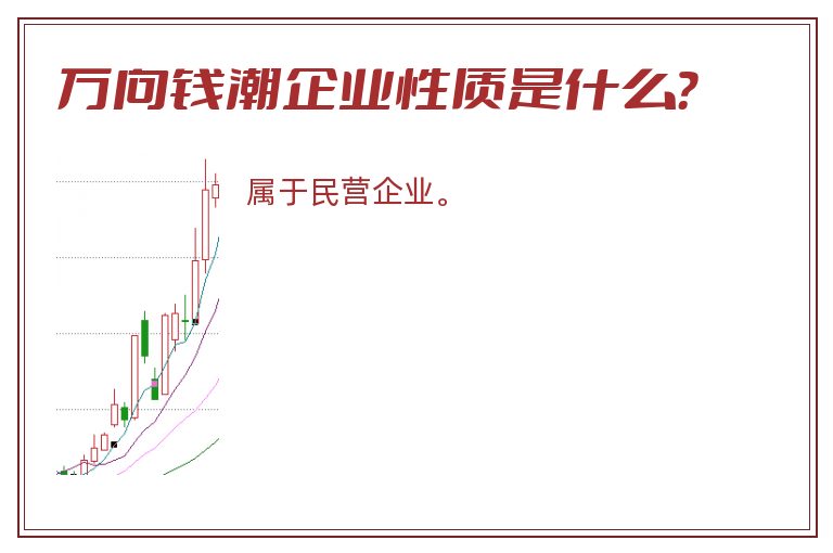 万向钱潮企业性质是什么？