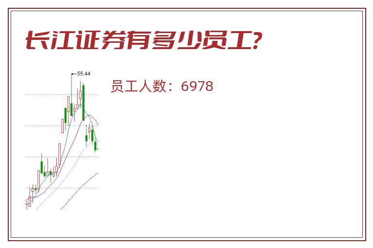 长江证券有多少员工?.jpg 长江证券.jpg