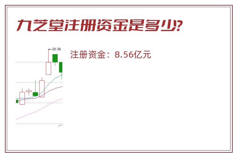 九芝堂注册资金是多少？