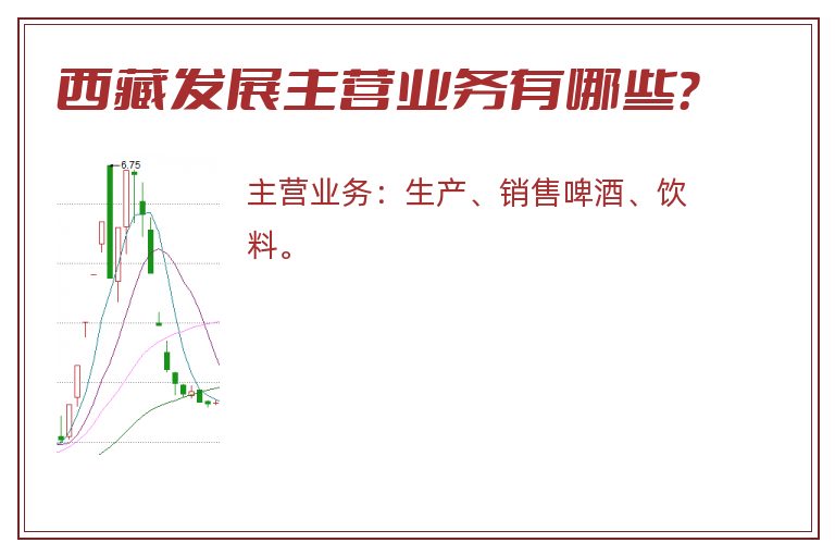 西藏发展主营业务有哪些？