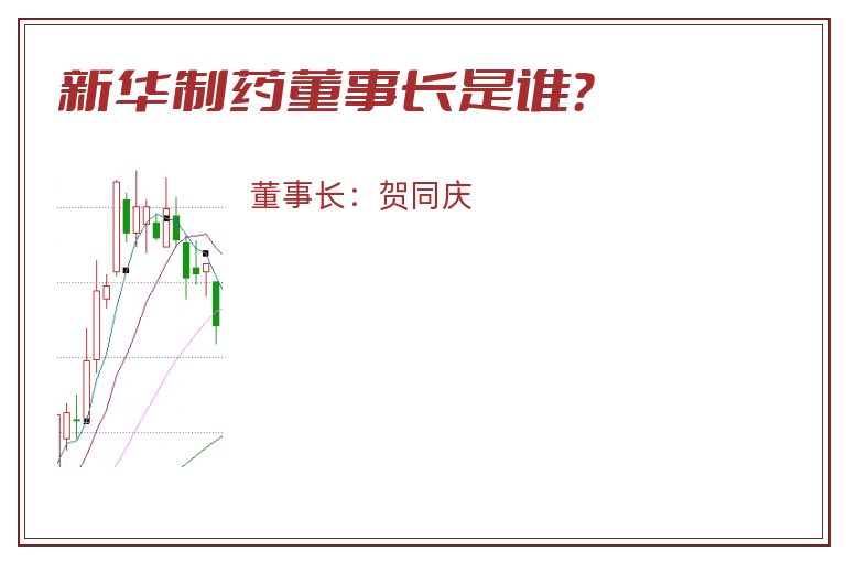 新华制药董事长是谁？