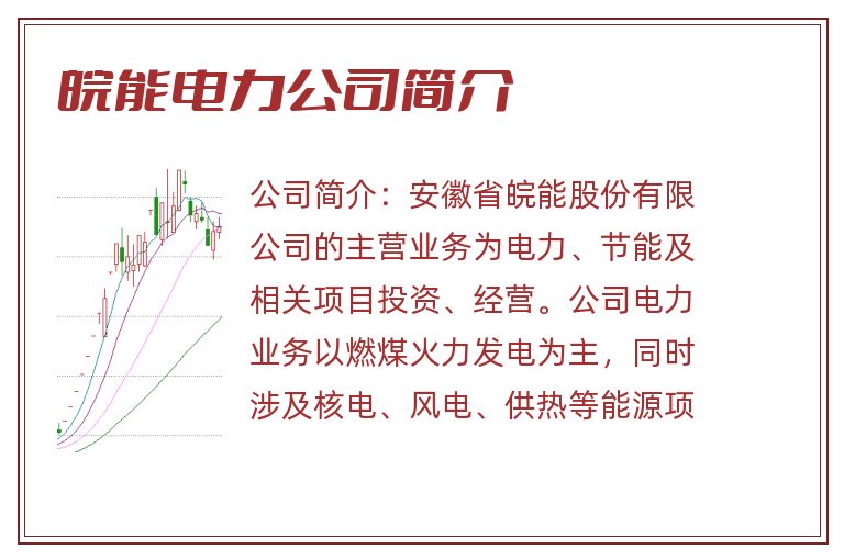 皖能电力公司简介