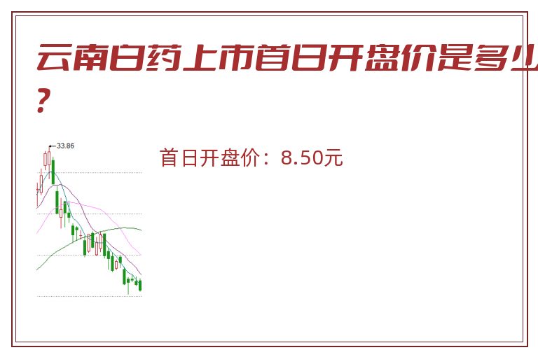 云南白药上市首日开盘价是多少?.jpg 云南白药.jpg