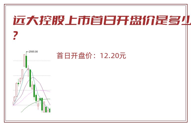 远大控股上市首日开盘价是多少?.jpg 远大控股.jpg