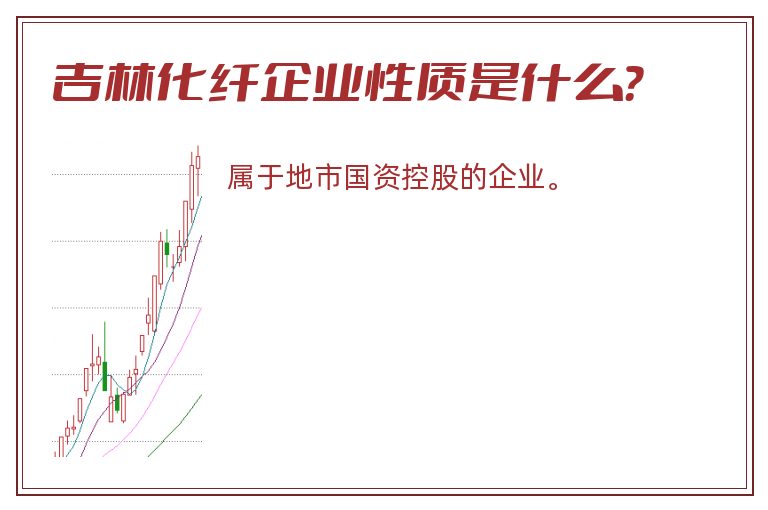 吉林化纤企业性质是什么？