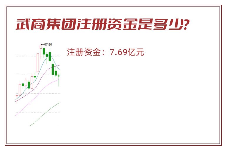 武商集团注册资金是多少？