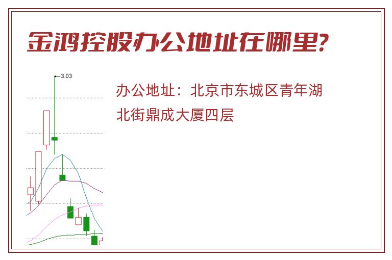 金鸿控股办公地址在哪里？