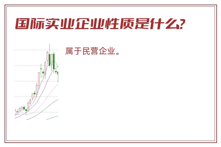 国际实业企业性质是什么？