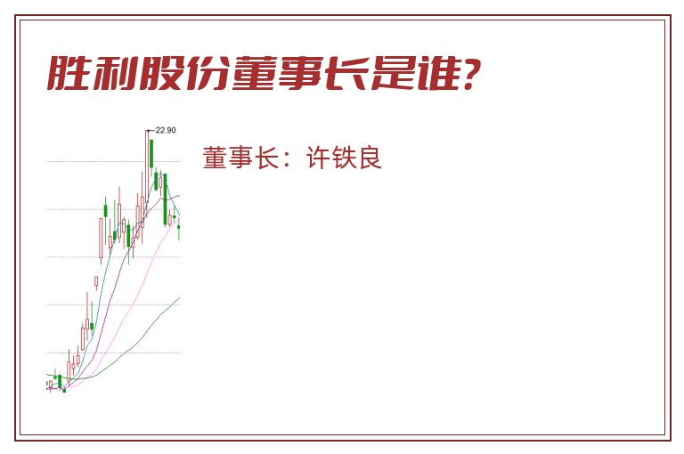 胜利股份董事长是谁？