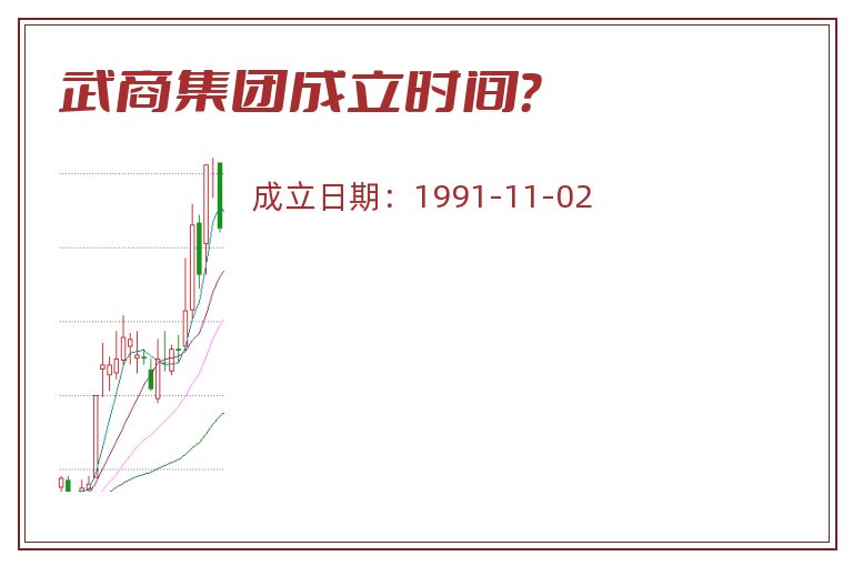 武商集团成立时间？