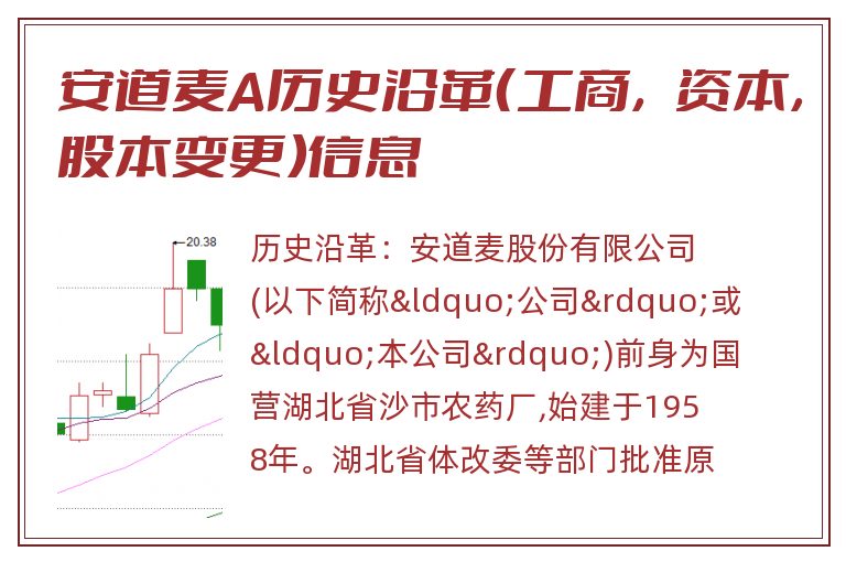 安道麦A历史沿革(工商,资本,股本变更)信息.jpg 安道麦A.jpg