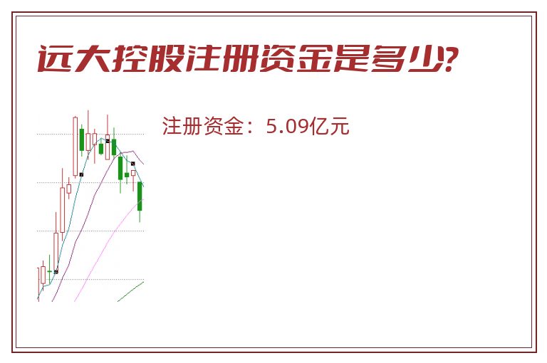 远大控股注册资金是多少？