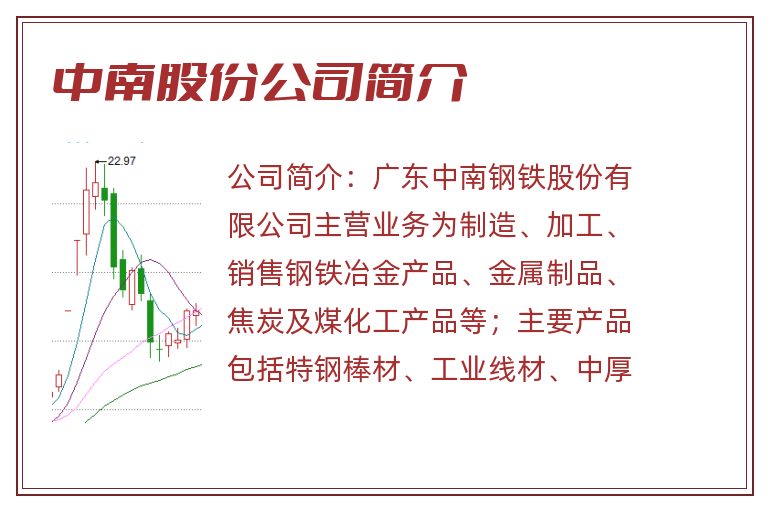 中南股份公司简介