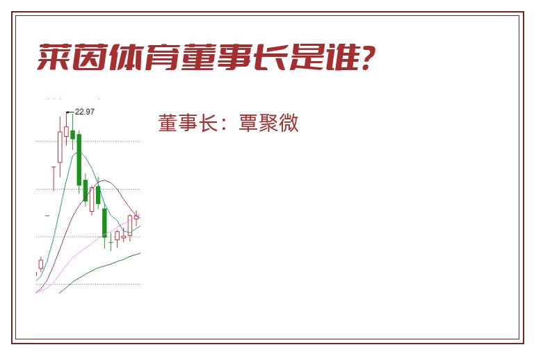 莱茵体育董事长是谁？