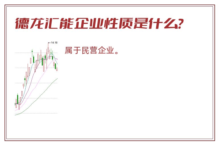 德龙汇能企业性质是什么？