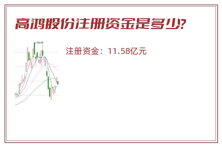高鸿股份注册资金是多少？