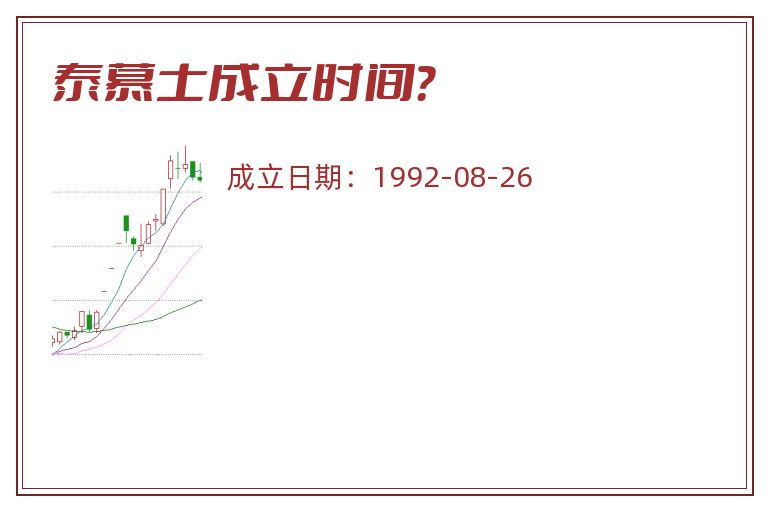 泰慕士成立时间？