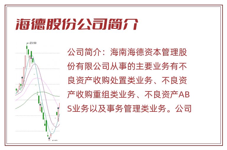 海德股份公司简介