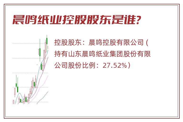 晨鸣纸业控股股东是谁？