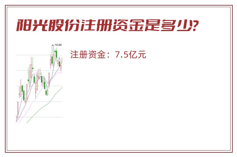 阳光股份注册资金是多少？