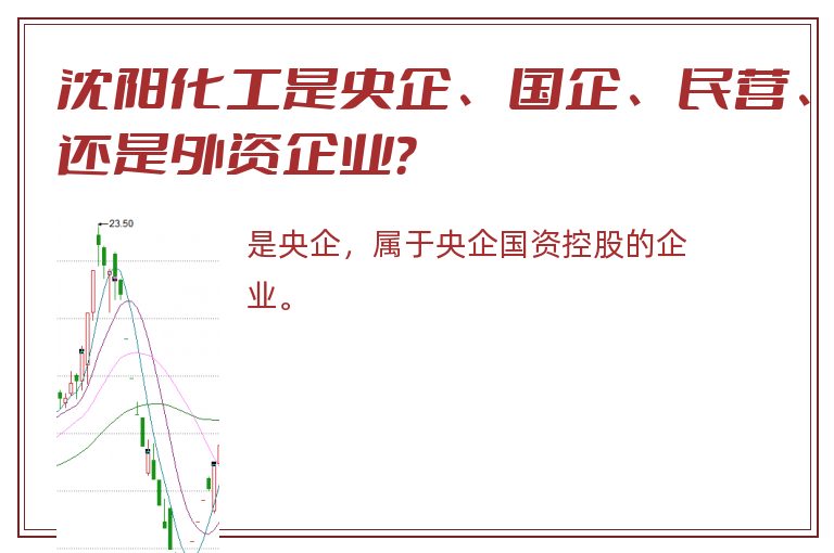 沈阳化工是央企、国企、民营、还是外资企业？