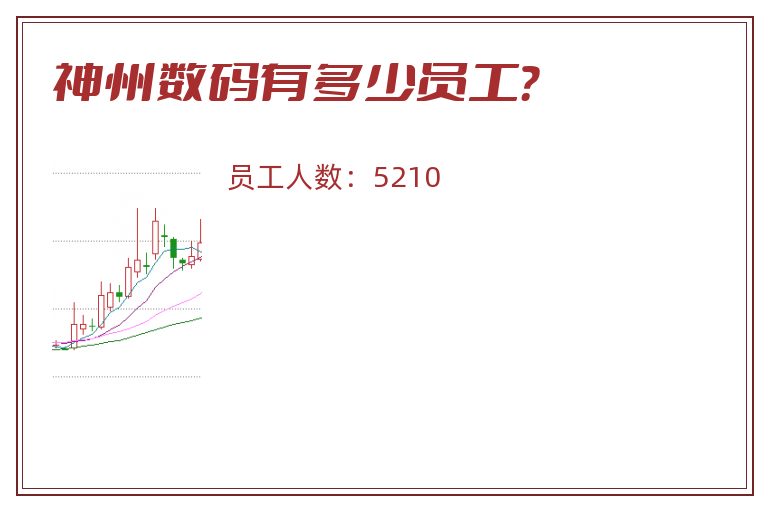 神州数码有多少员工？