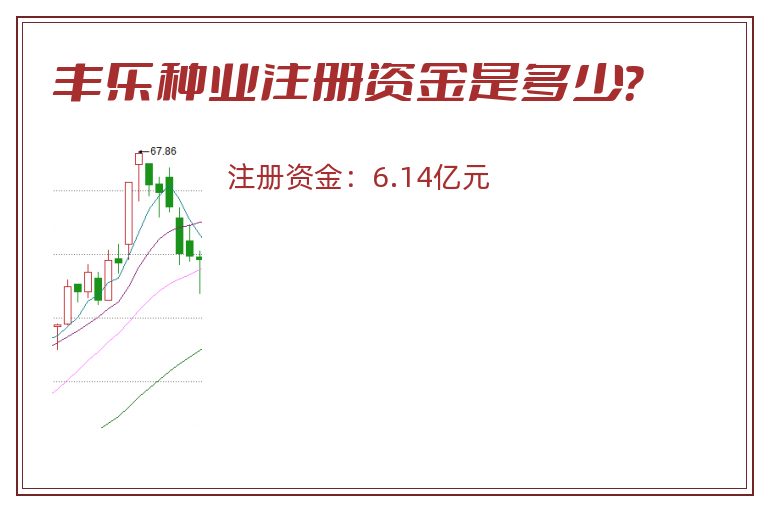 丰乐种业注册资金是多少？