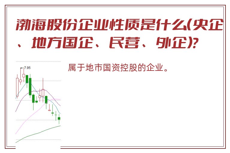 渤海股份企业性质是什么（央企、地方国企、民营、外企）？