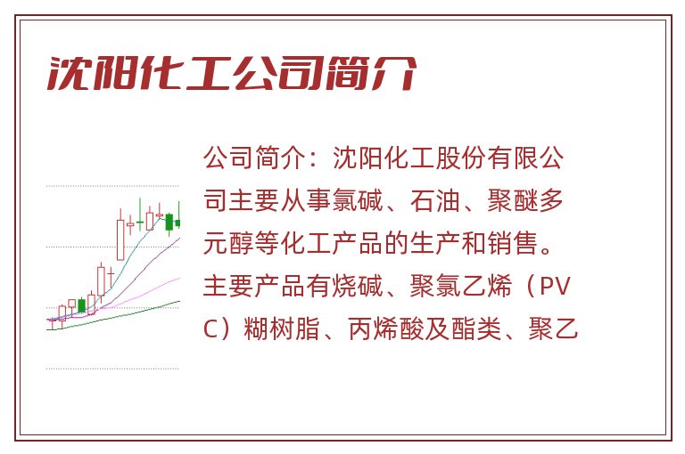 沈阳化工公司简介