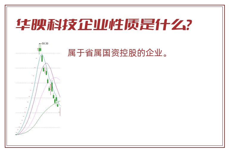 华映科技企业性质是什么？