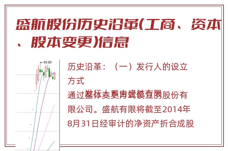 盛航股份历史沿革（工商、资本、股本变更）信息