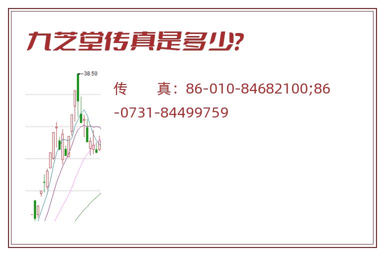 九芝堂传真是多少？