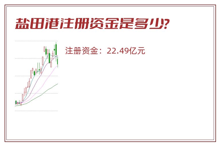 盐田港注册资金是多少？