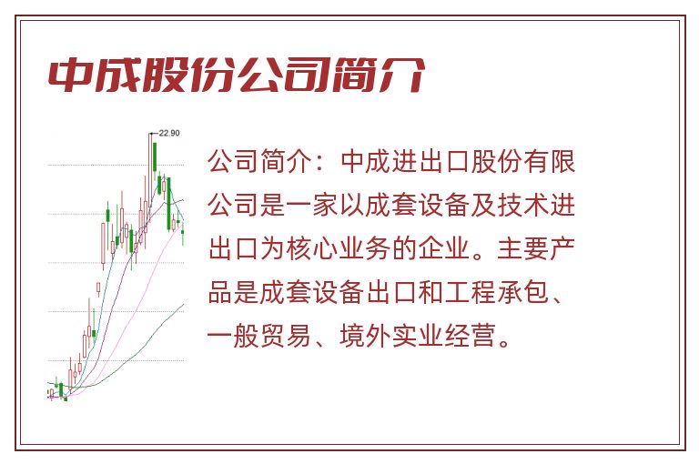 中成股份公司简介