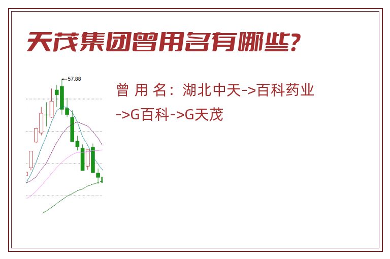 天茂集团曾用名有哪些？