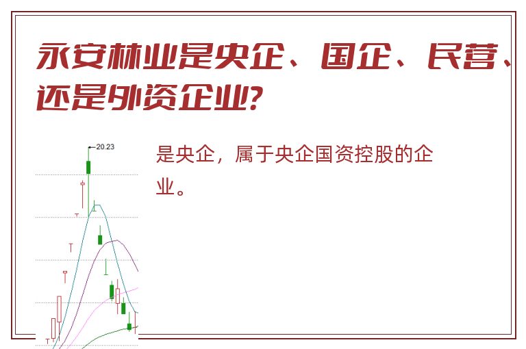 永安林业是央企、国企、民营、还是外资企业？