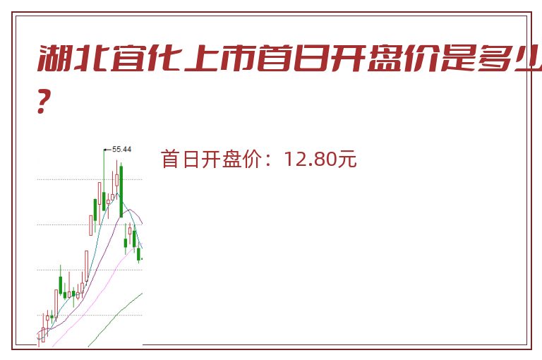 湖北宜化上市首日开盘价是多少？
