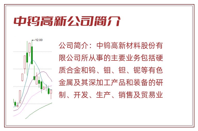 中钨高新公司简介
