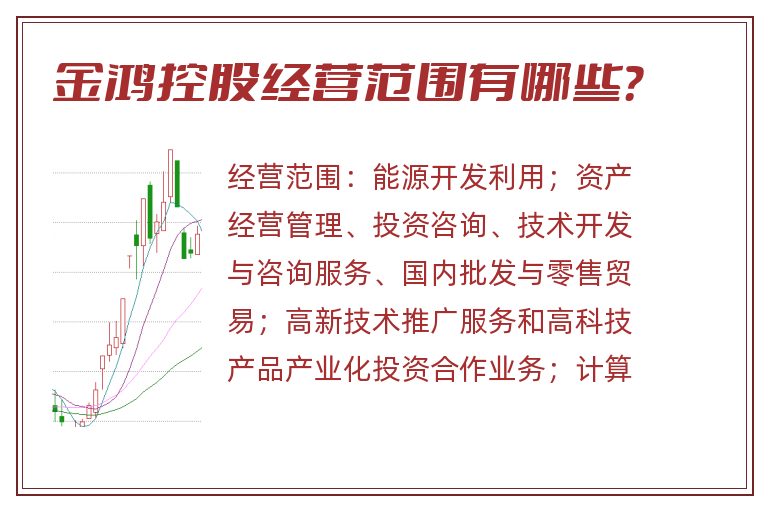 金鸿控股经营范围有哪些?.jpg 金鸿控股.jpg